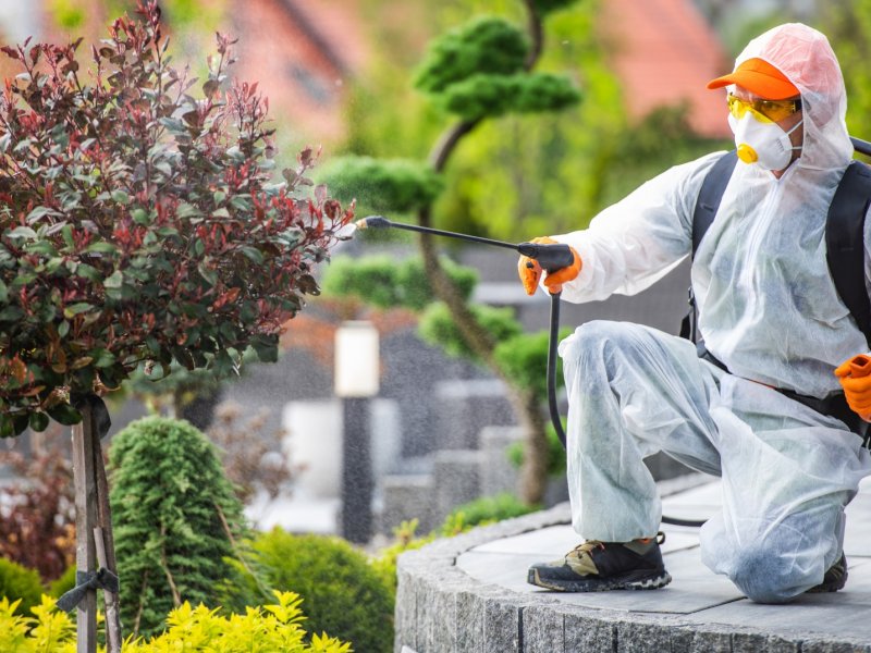 Divriği Haşere İlaçlama